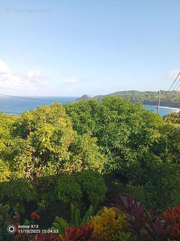 Appartement à LE MARIGOT