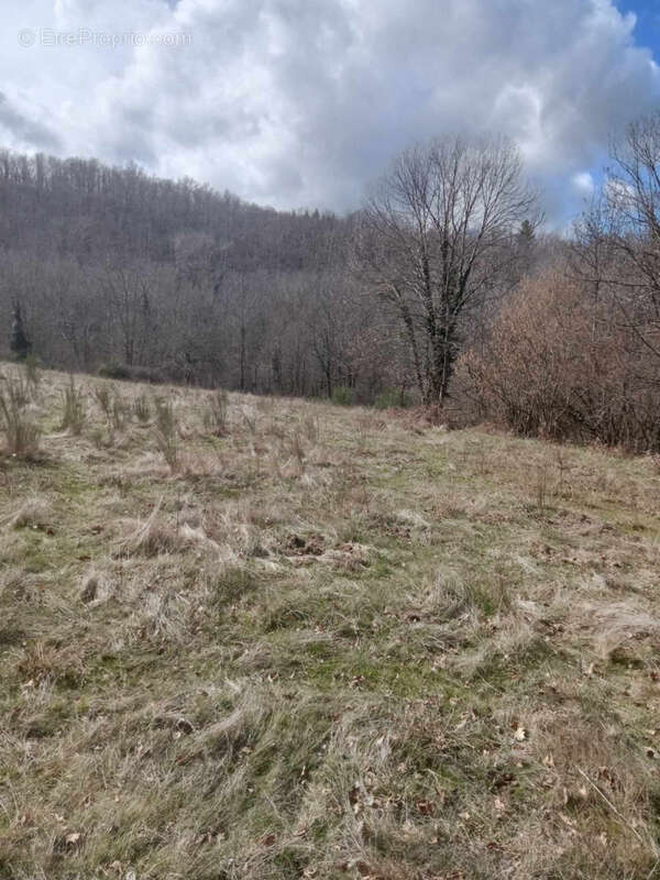 Maison à SAINT-LAURENT-DE-CERDANS