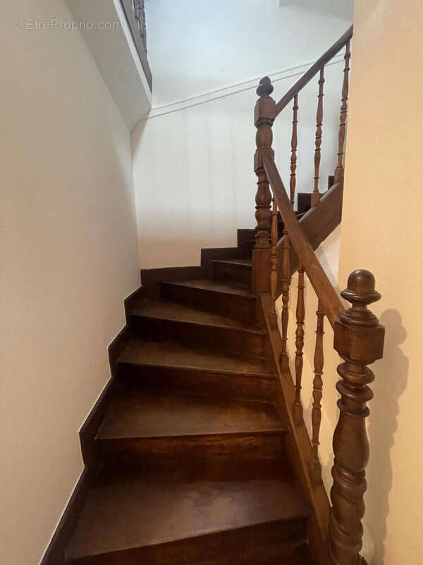 IMG_3023 - Maison à OLORON-SAINTE-MARIE