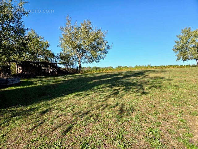 Maison à SAINT-MARTIN-DE-SESCAS