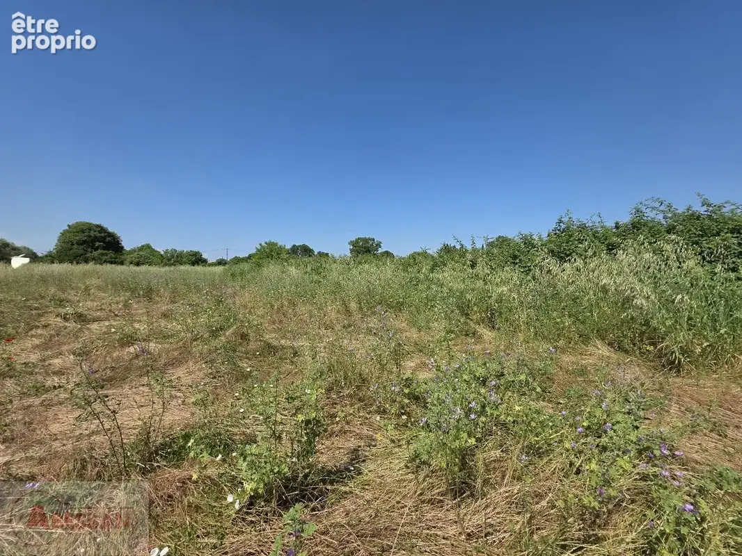 NÎMES EST  Grand foncier patrimonial de 9 775 m² (Secteur Mas Lombard) - photo 5