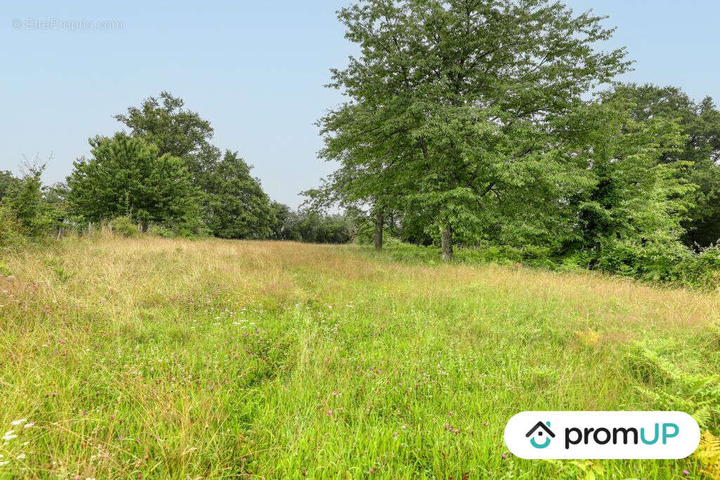 Terrain à ORADOUR-SUR-VAYRES