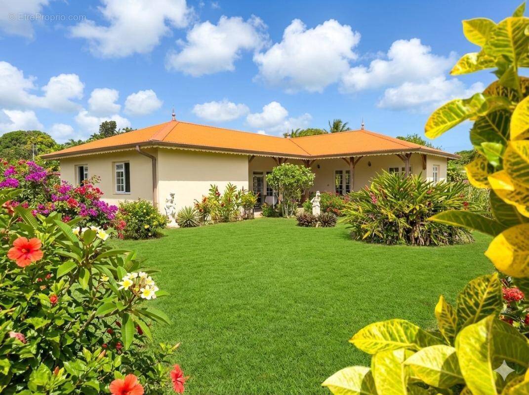 Maison à BASSE-POINTE