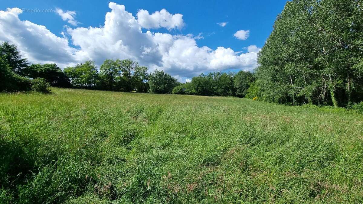 Maison avec dependances et étang - photo 3