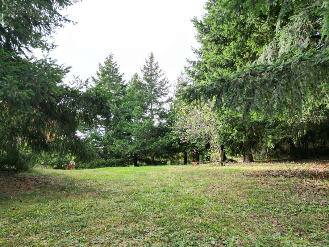 Maison à SAINT-ALBAN-D&#039;AY