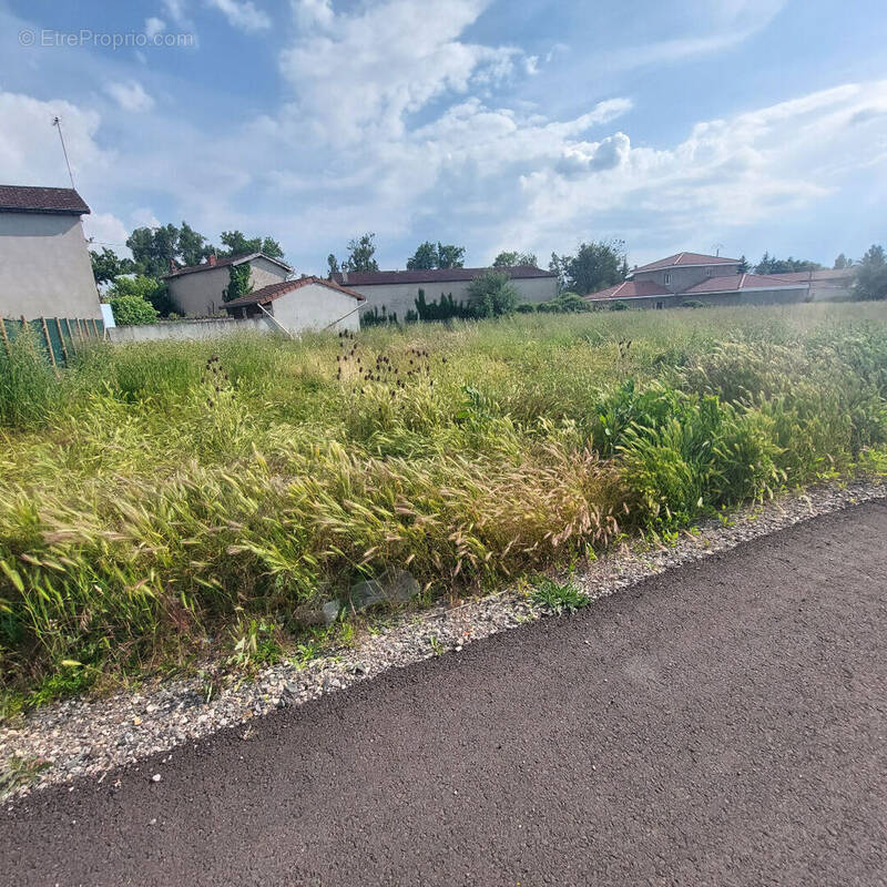 Terrain à BELLEGARDE-EN-FOREZ