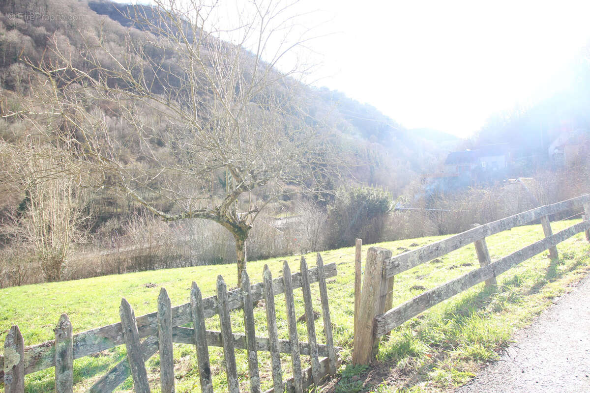 Terrain à GURAN