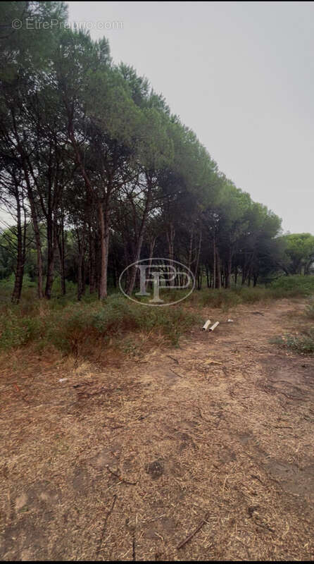 Appartement à CALVI