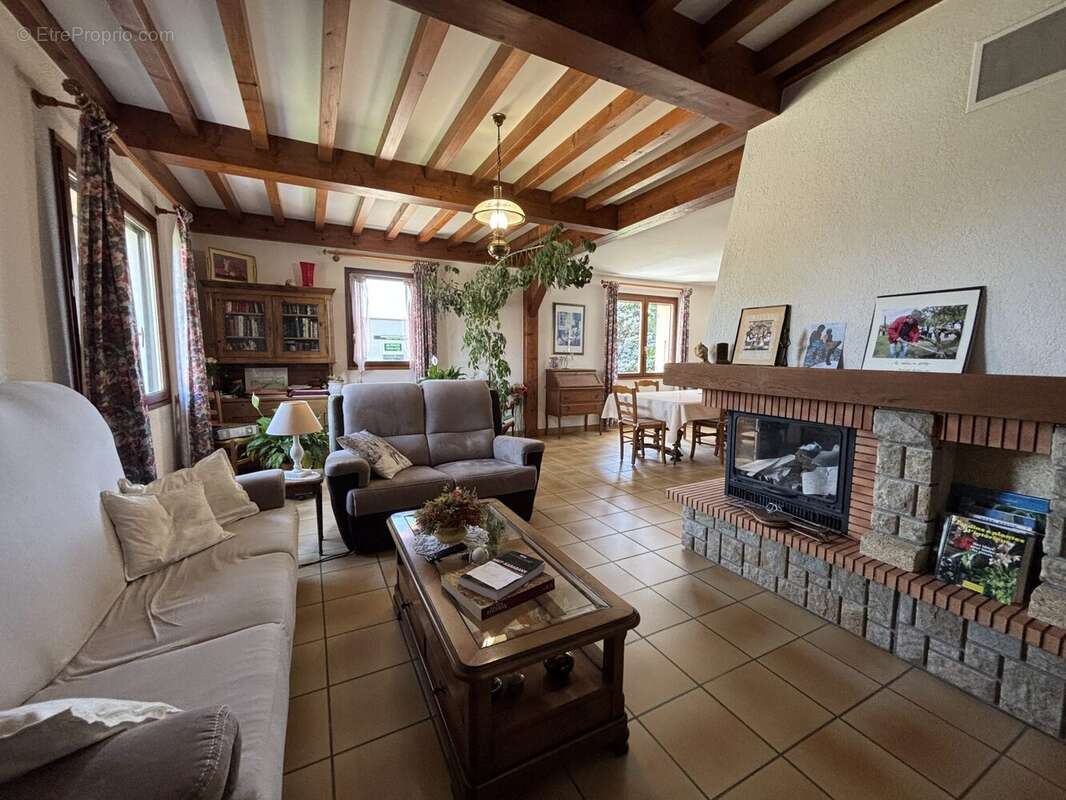 Maison 161 m² à Genissieux  - photo 4