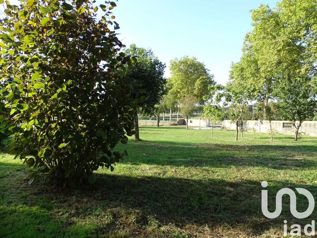 Photo 9 - Terrain à CADOURS