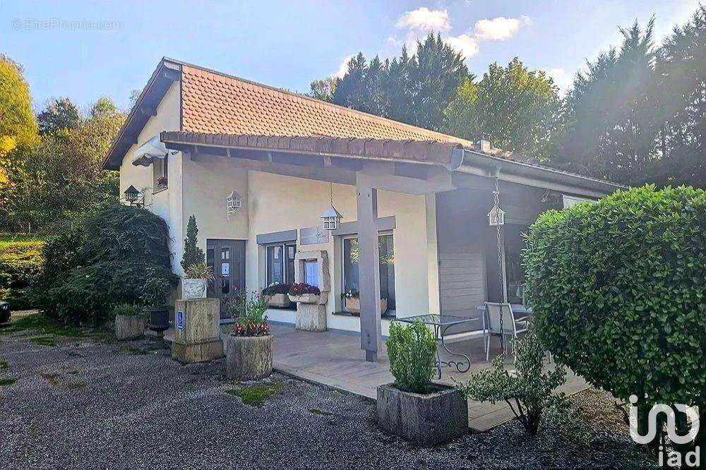 Photo 5 - Commerce à VIRIGNIN