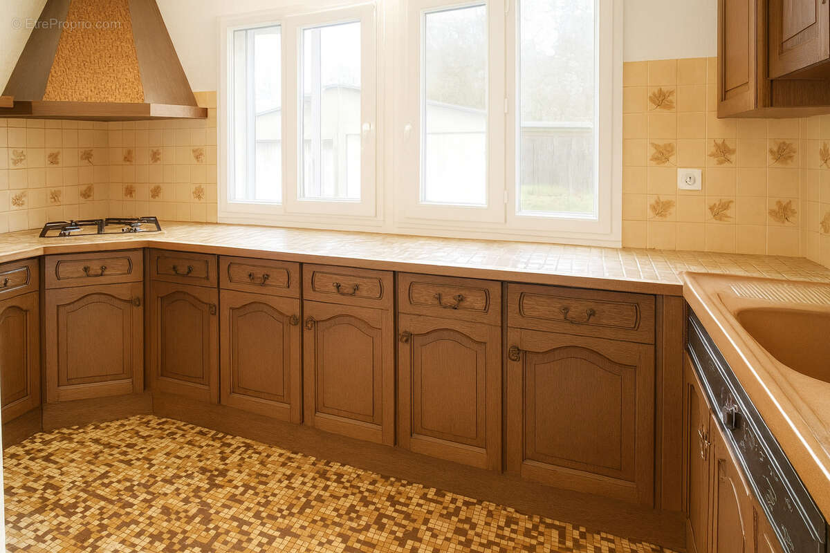 Maison à SAINT-BRISSON-SUR-LOIRE