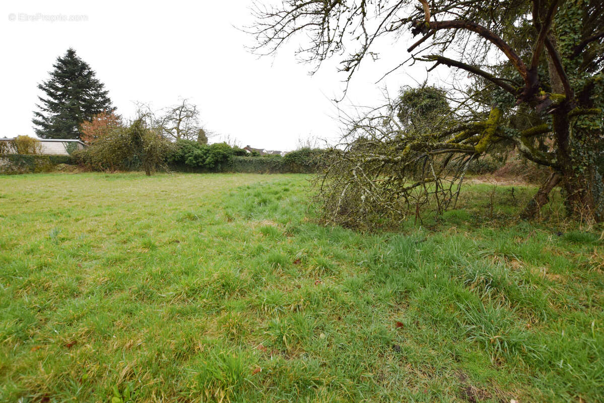 Terrain à EXINCOURT