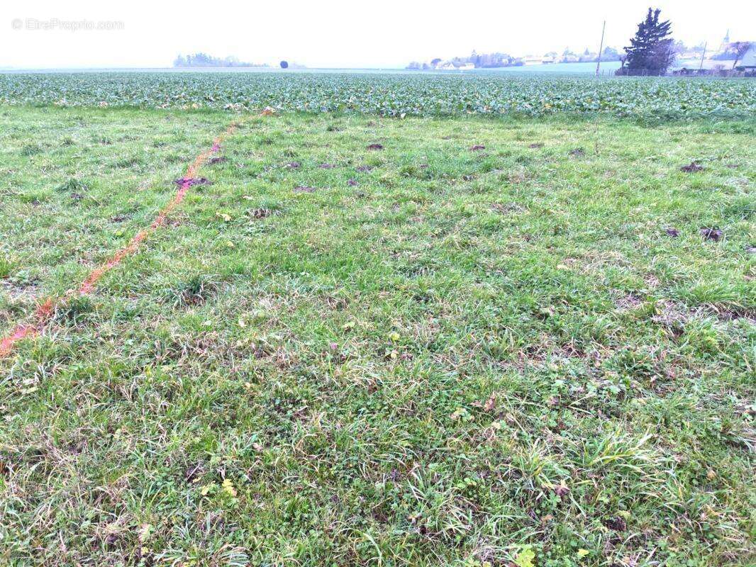 Commerce à TREMBLAY-LES-VILLAGES