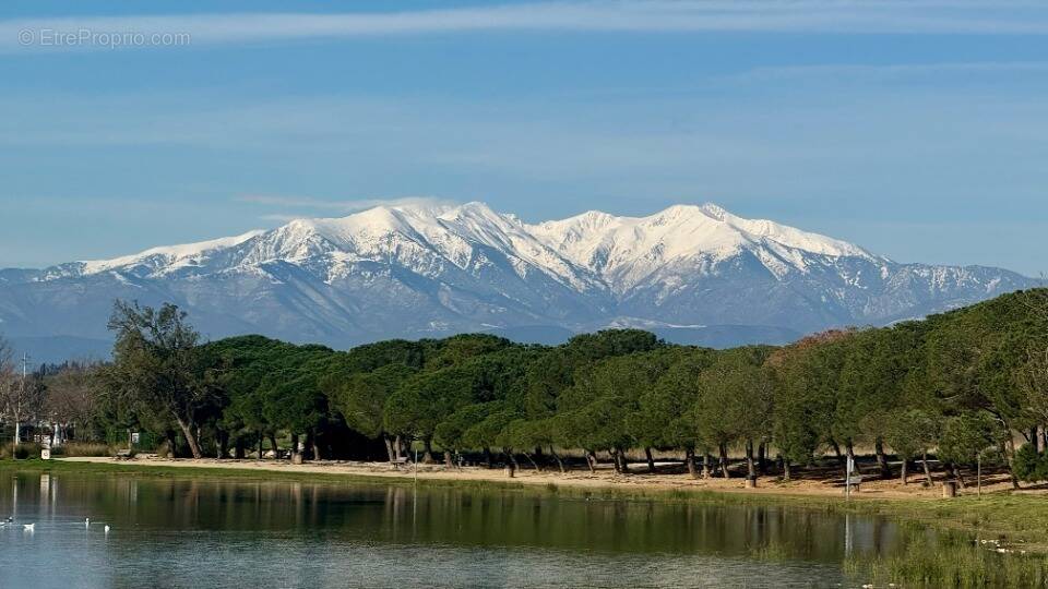Terrain à VILLENEUVE-DE-LA-RAHO
