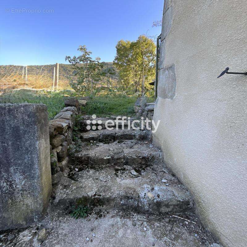 Appartement - photo 2