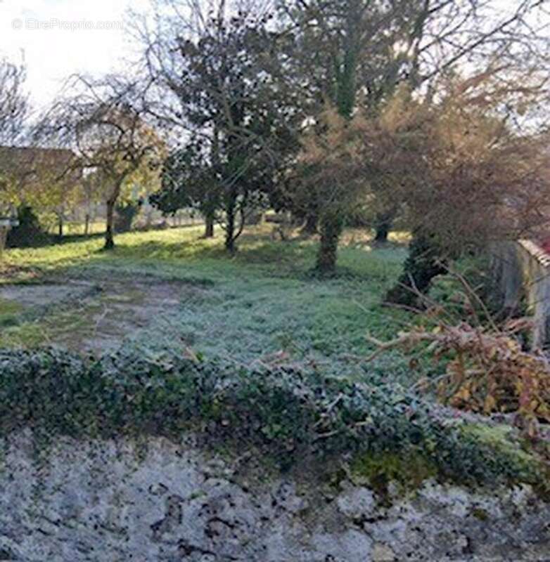 terrain 1 - Terrain à SAINT-MARTORY