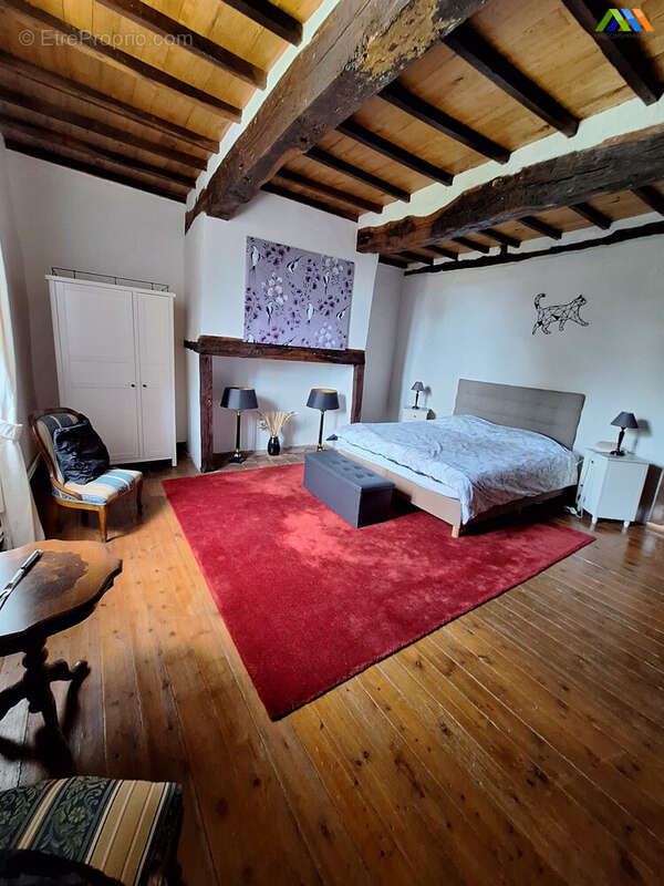 Maison 360 m² à Seissan  - photo 6