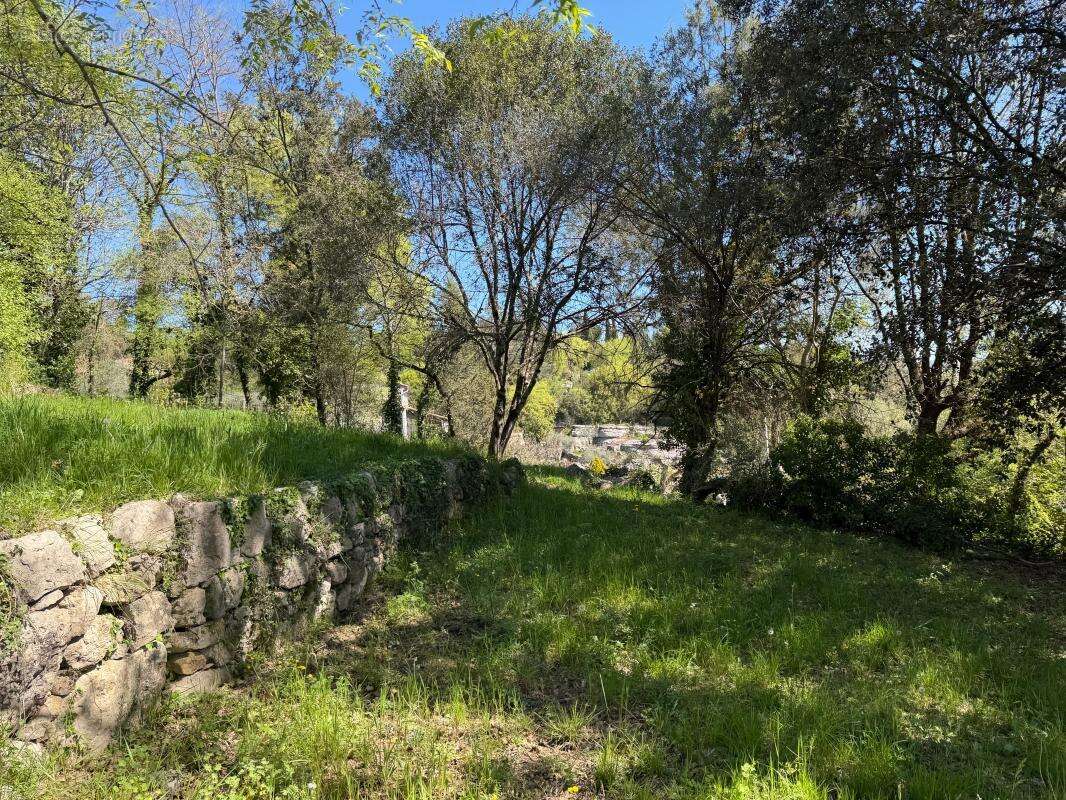 Terrain  constructible à vendre de 2 488 m² - photo 9