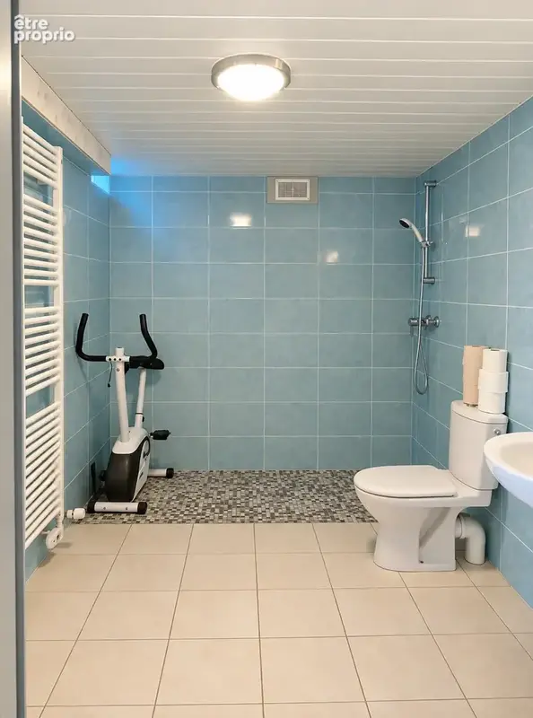 FILLINGES - Maison de 153m2 avec un studio de 40m2 à vendre - photo 7