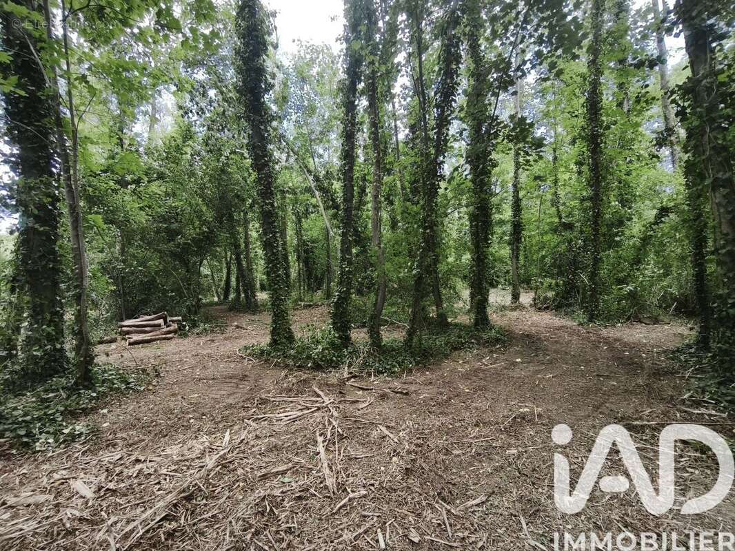 Terrain 2320 m² à Boult-Sur-Suippe  - photo 2