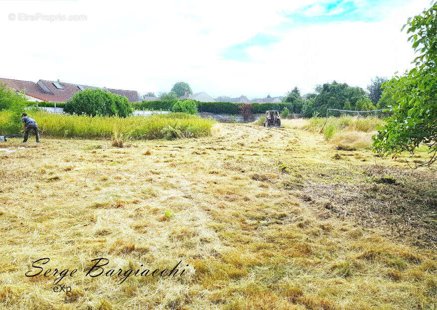 Terrain 3200 m² à Lievin  - photo 4