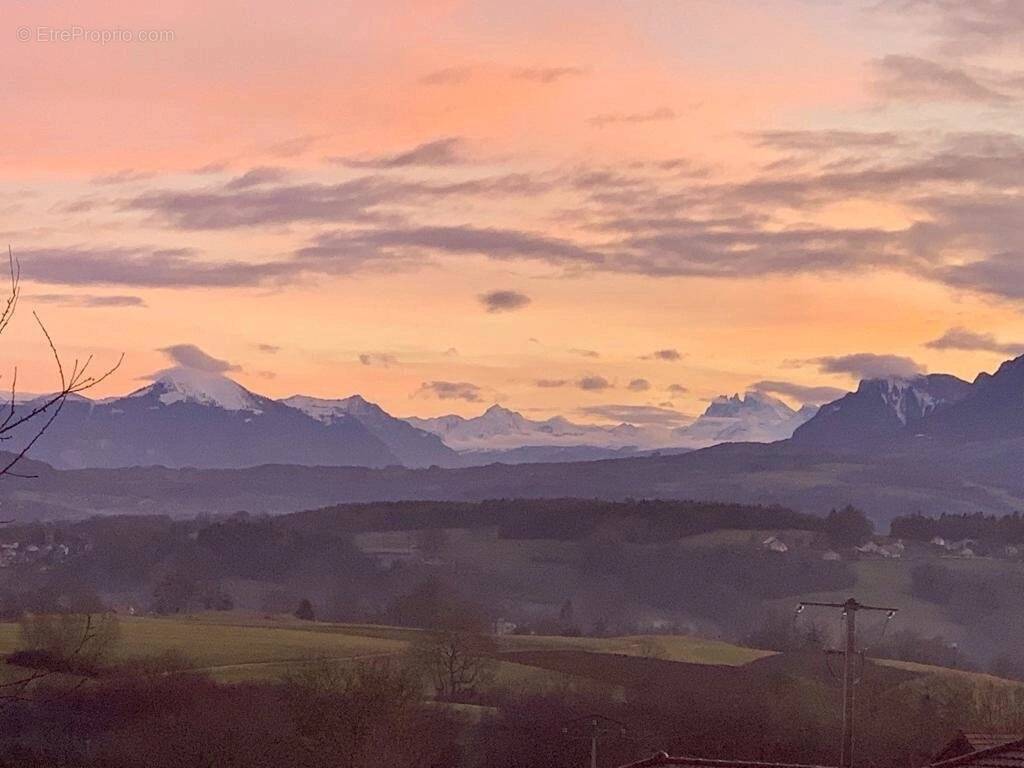 Commerce à REIGNIER