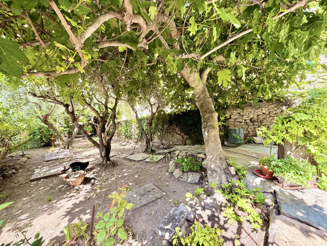 10mn de malaucene - belle maison avec jardin - photo 9