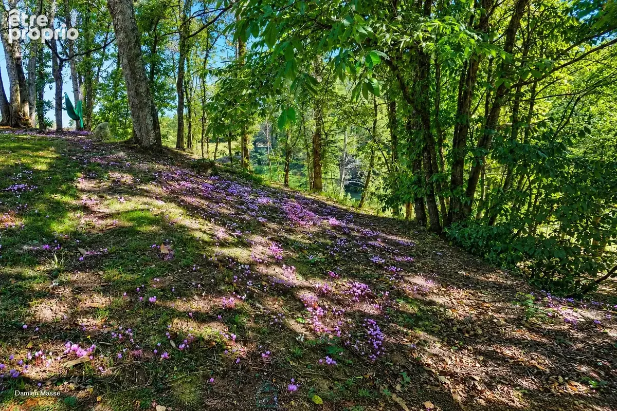 Maison de maître des années 30 - Elégance, nature et vie de village au coeur du Périgord vert. - photo 13