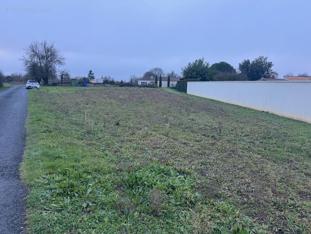 Terrain à SAINTE-HERMINE