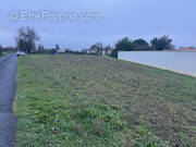 Terrain à SAINTE-HERMINE