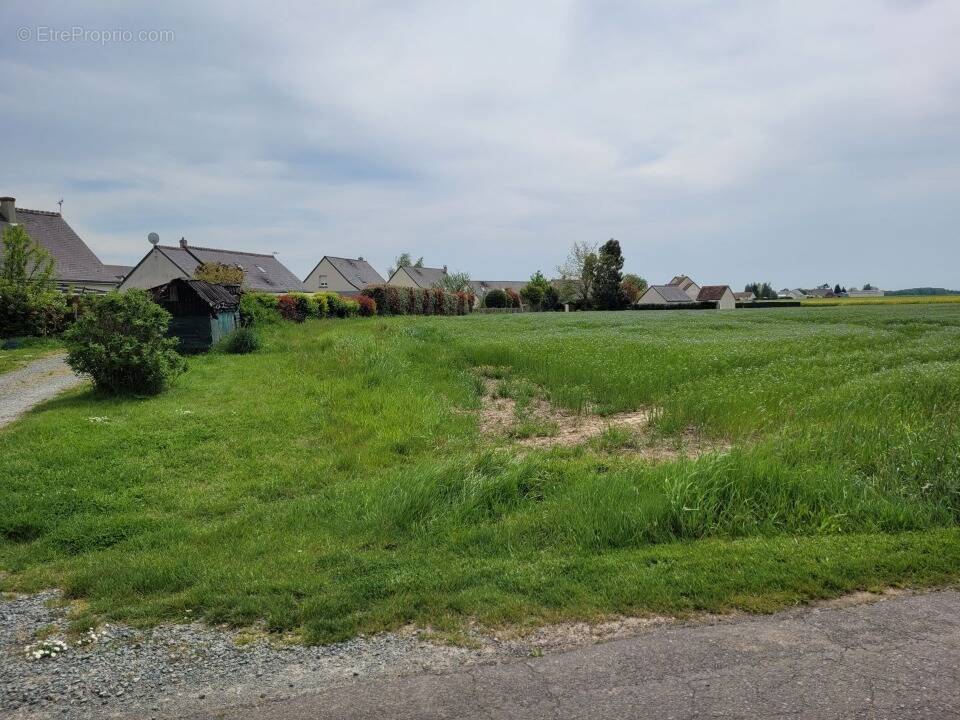 Terrain à SAINT-LAURENT-EN-GATINES