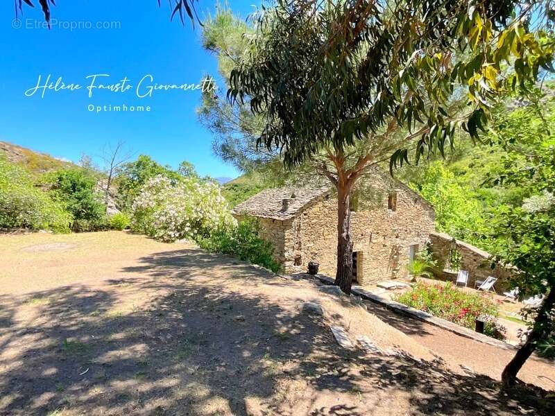 Ancien Moulin en Pierre avec dépendances sur près de 2,3 hectares – Santo-Pietro-di-Tenda - photo 30