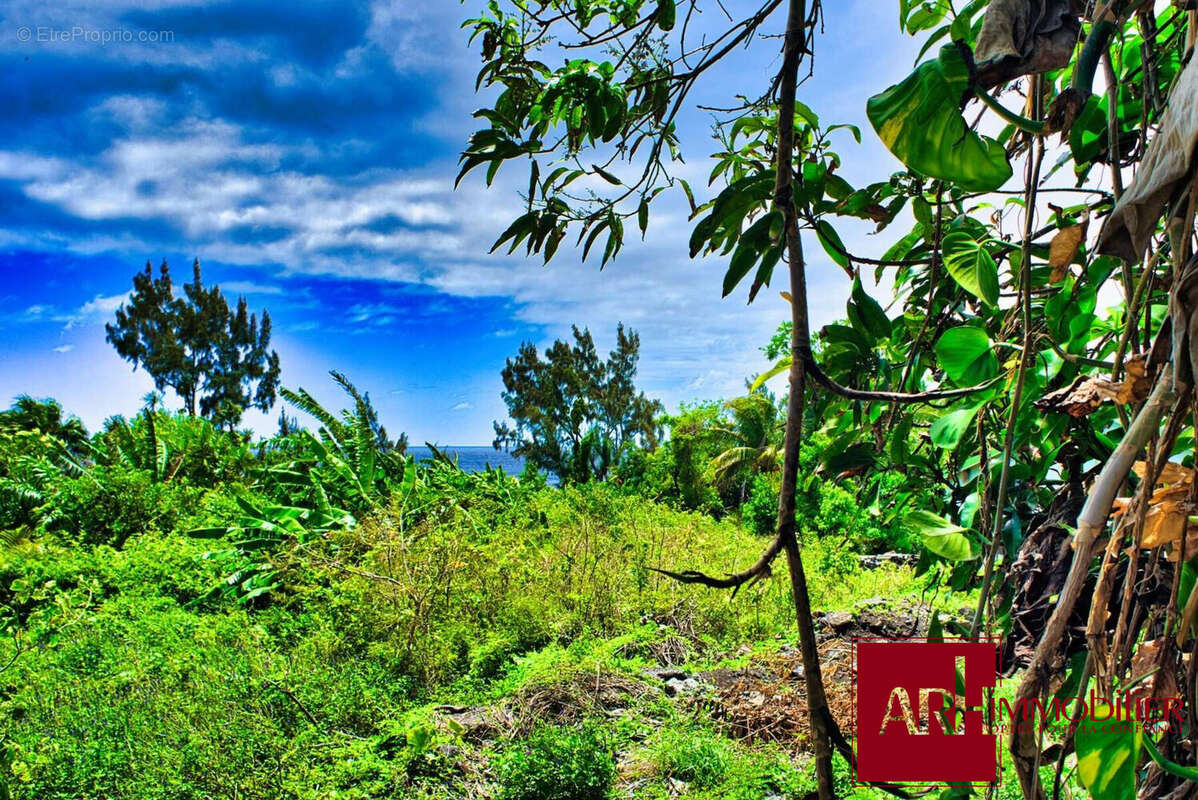 Terrain à SAINTE-ROSE