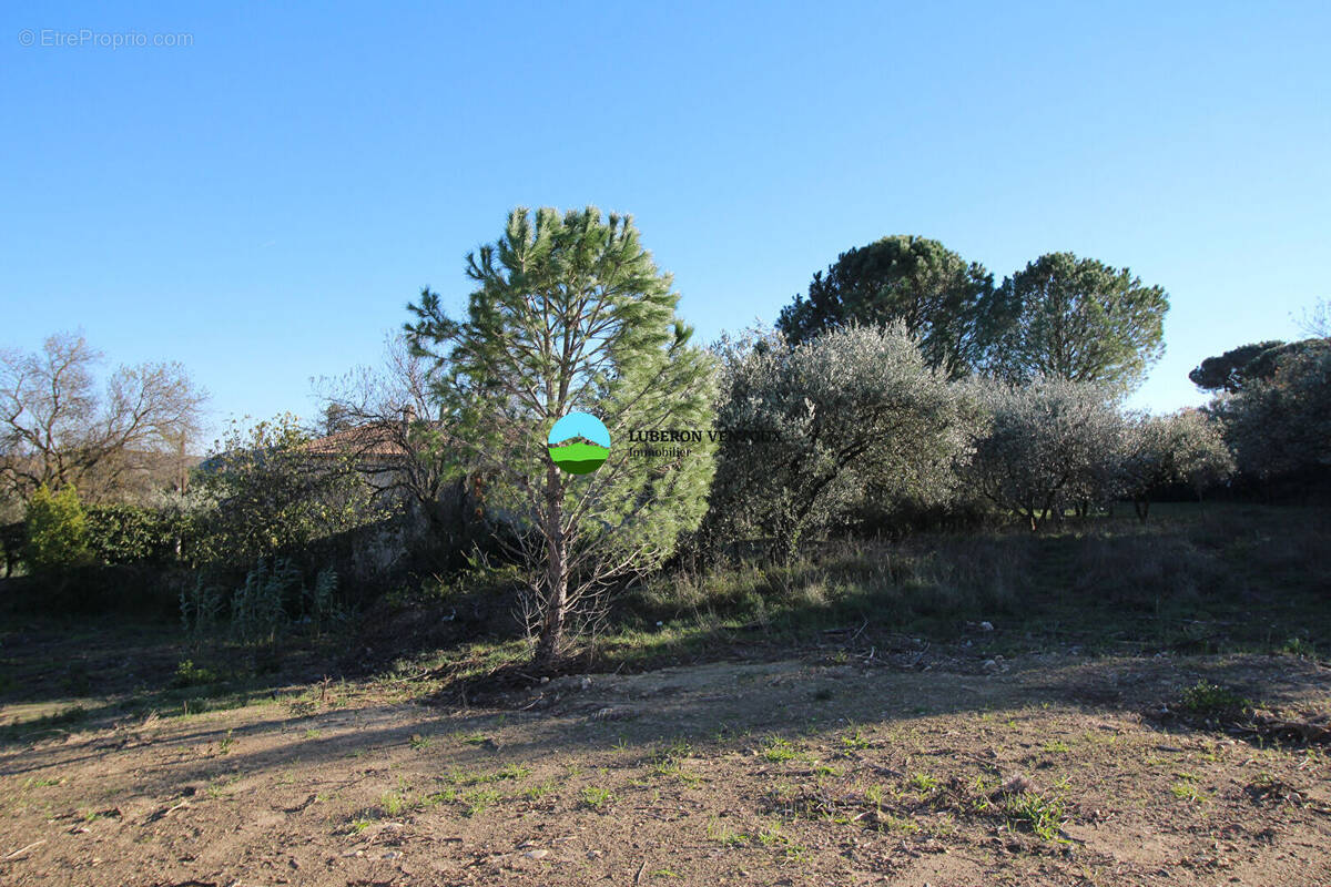Terrain à ROQUEMAURE