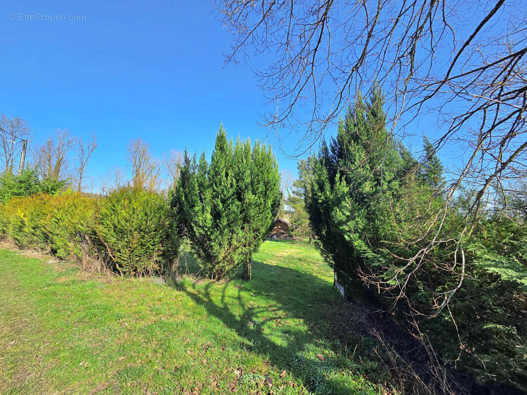 Terrain à KOEUR-LA-GRANDE