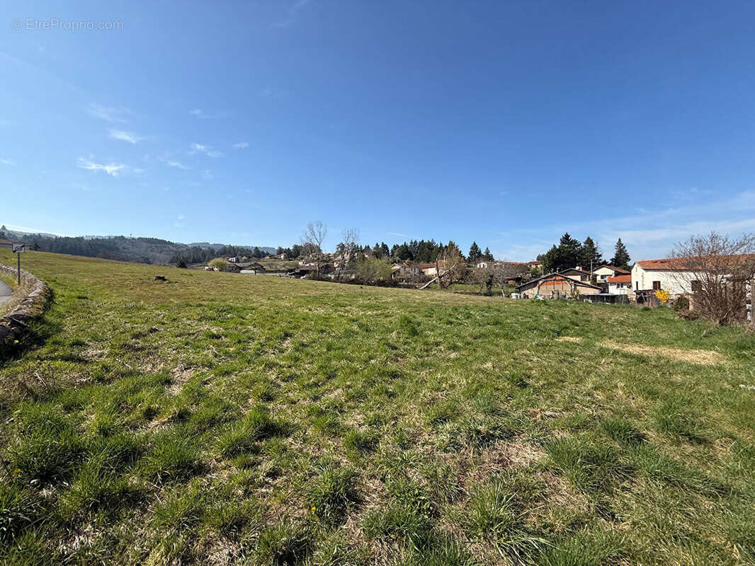 Terrain Saint Andre D Apchon 850 m2 - photo 5
