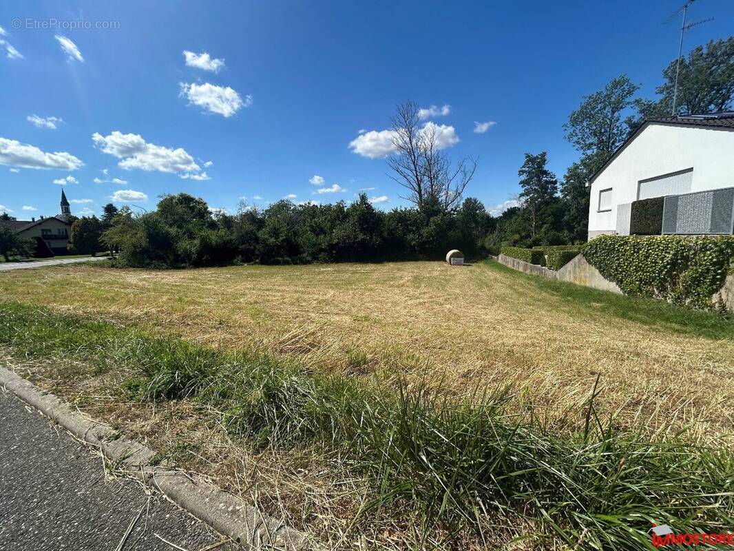 Terrain à MICHELBACH-LE-HAUT