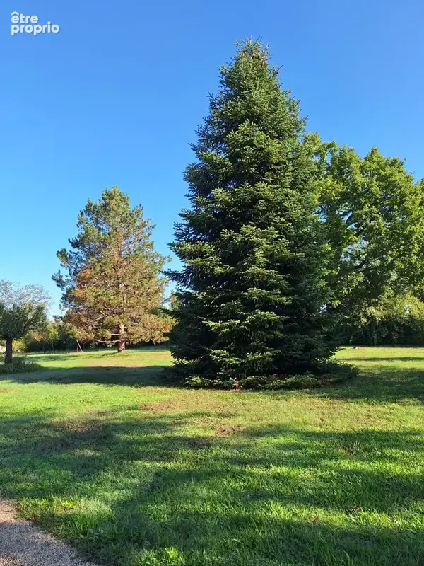 Propriété d'exception en pierre avec tour, piscine naturelle et parc paysager de 1,4 hectare   Périgord Noir - photo 44