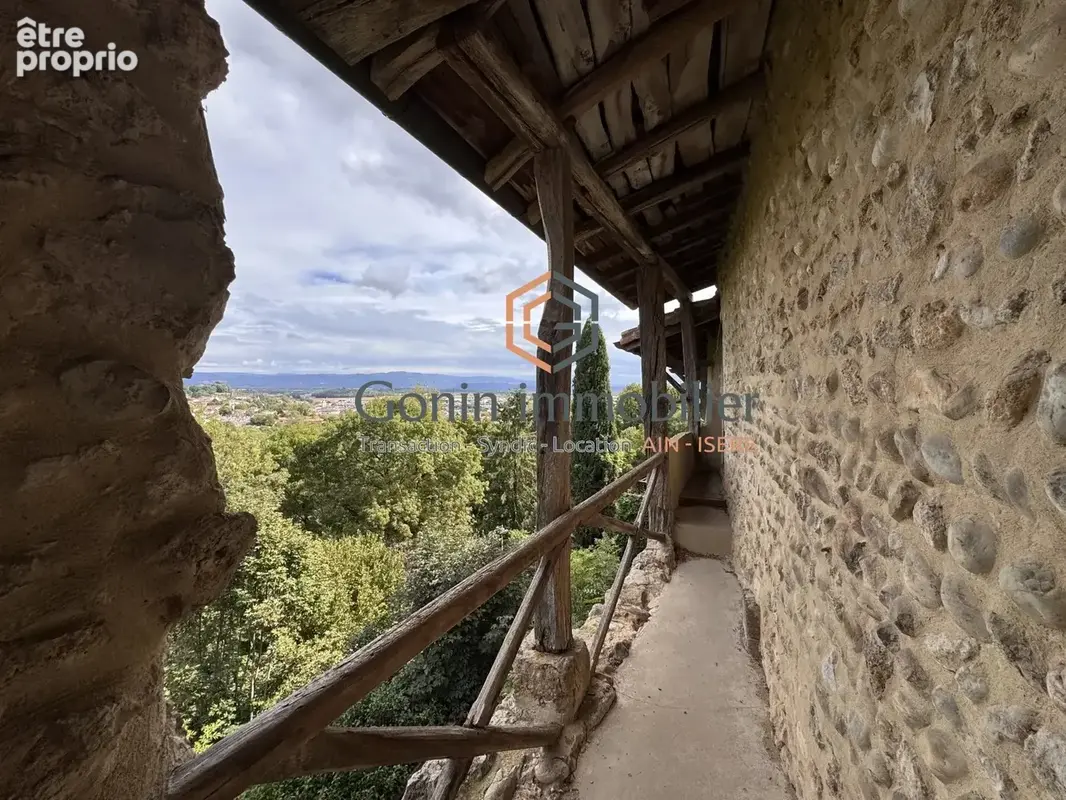 Pérouges — Demeure d'exception en pierre avec jardin, terrasse et accès au chemin de ronde - photo 15