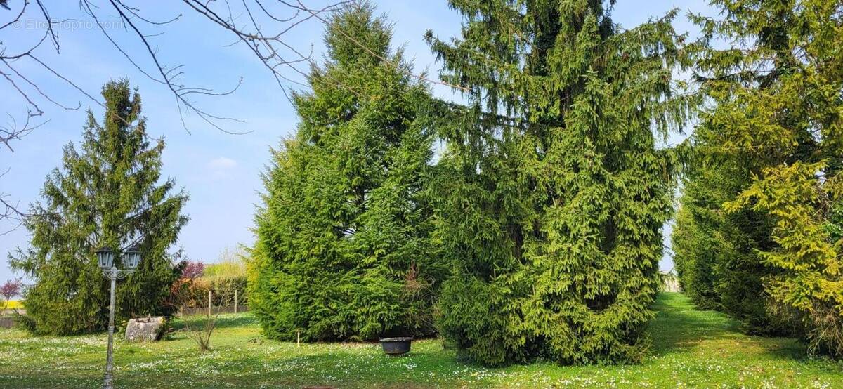 Terrain à OUZOUER-LE-MARCHE