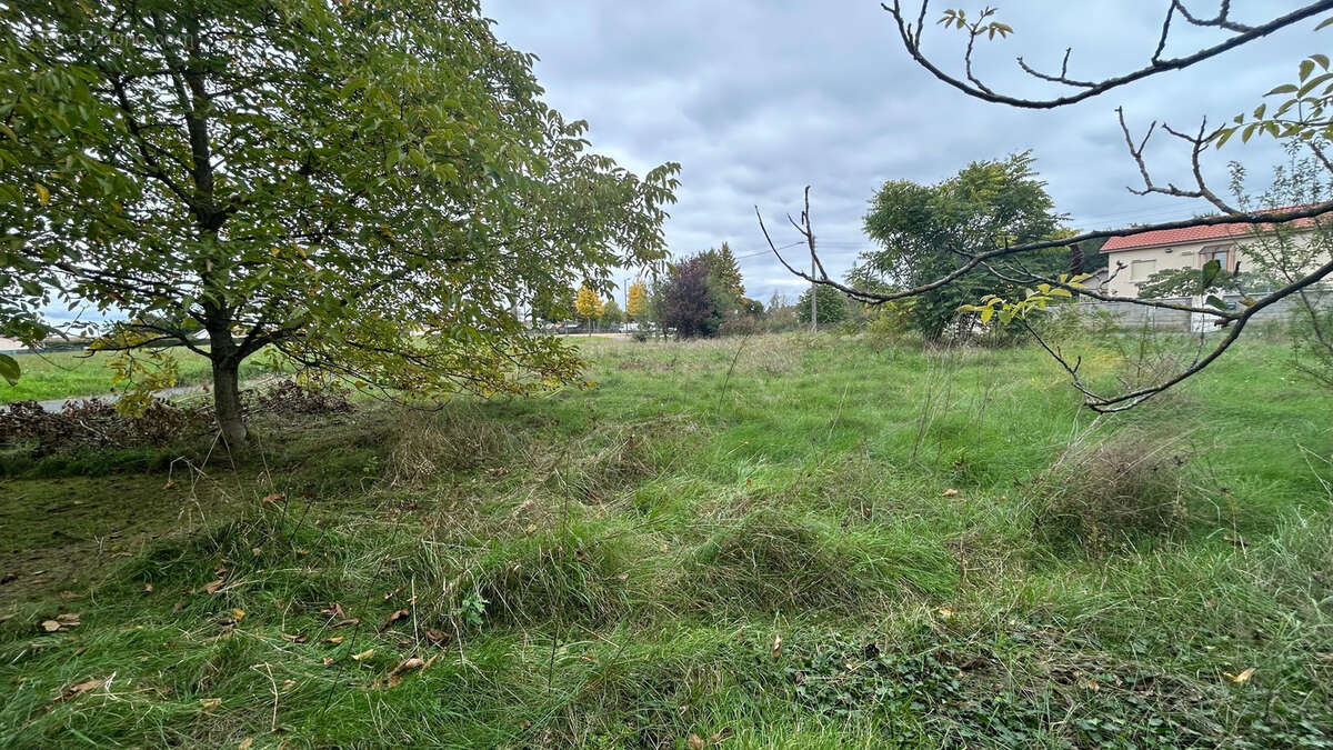 Terrain à LEZOUX