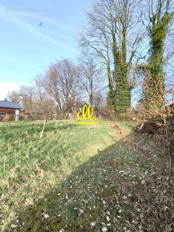 Terrain 1422 m² à Secheval  - photo 4