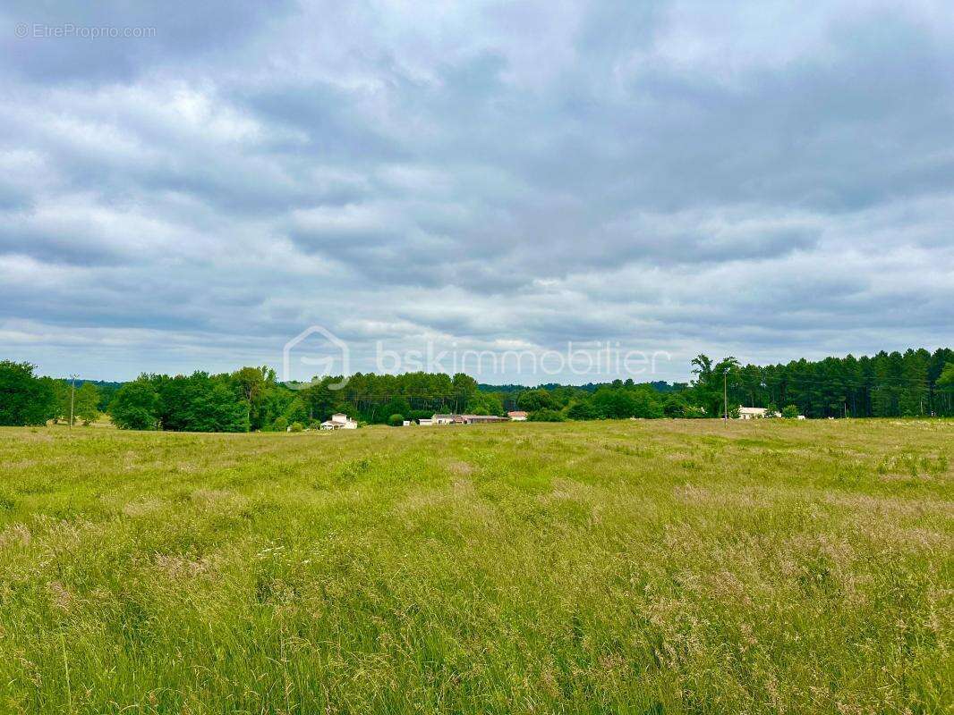 Terrain à SAINT-GERAUD-DE-CORPS