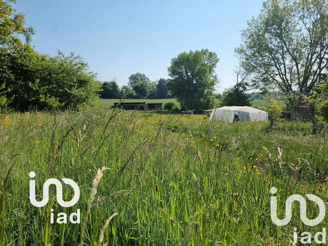 Photo 1 - Terrain à LA NEUVILLE-EN-BEINE