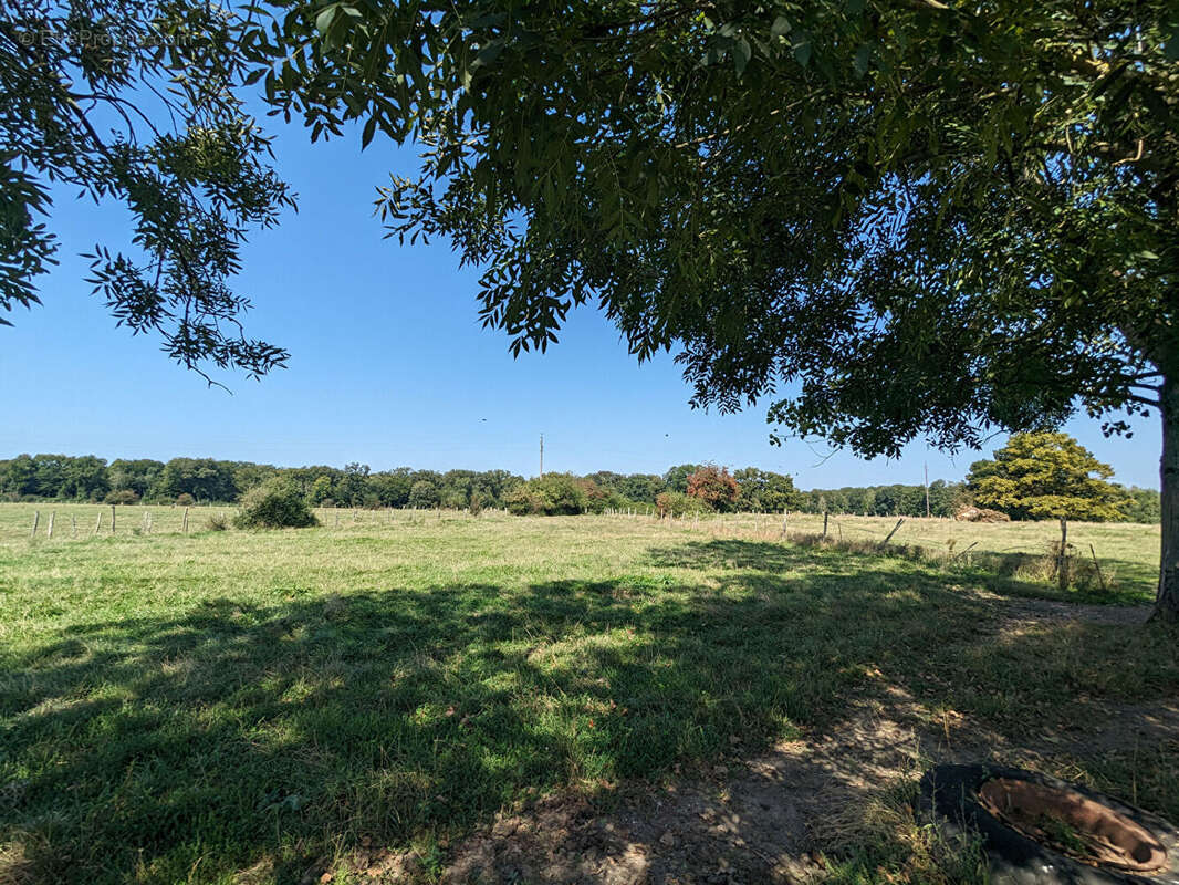 Maison à SAINT-SEINE-EN-BACHE