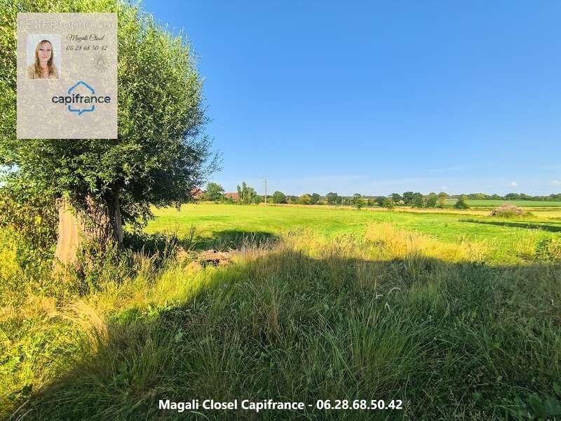 Bel ensemble immobilier de caractère sur près de 3 hectares. Maison, dépendances et Boxs à chevaux - photo 21
