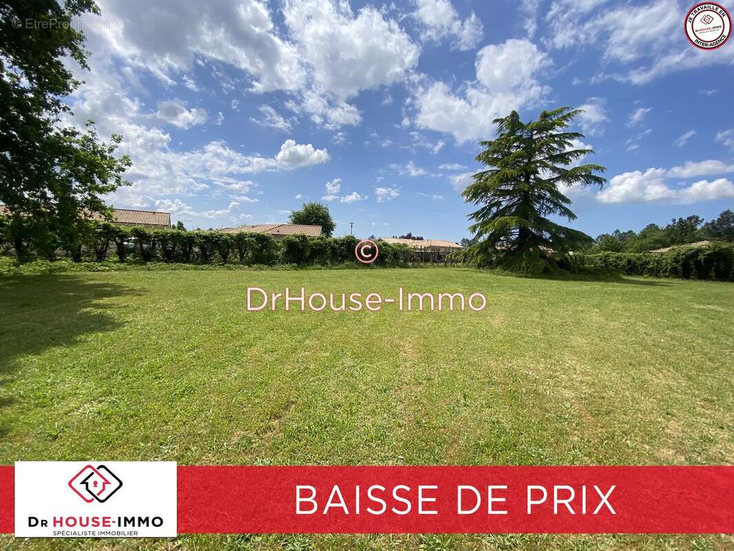 Terrain à PARENTIS-EN-BORN