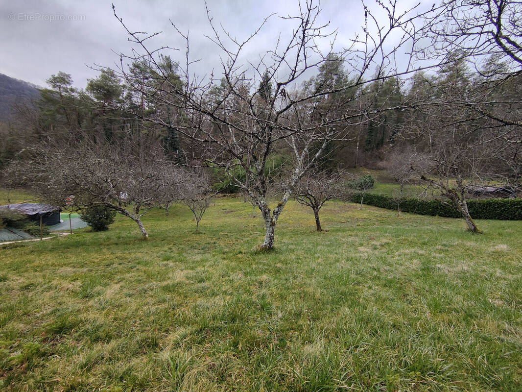 Photo 1 - Terrain à DELUZ