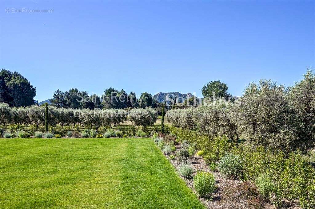 Mas en pierre rénové avec superbe vue sur les Alpilles, tennis et piscine - photo 19